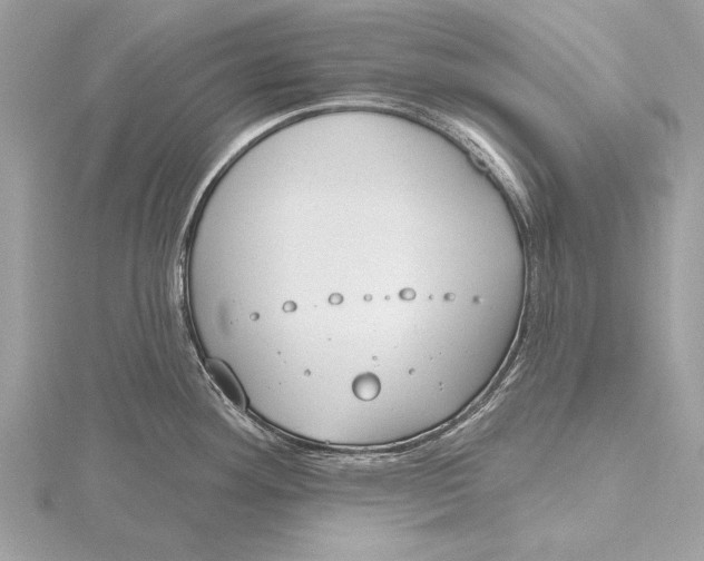 X0000115791292200912041505