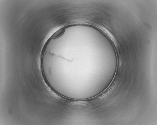 X0000115791293200912041505