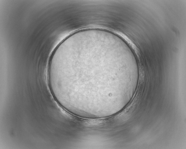 X0000115791294200912041505