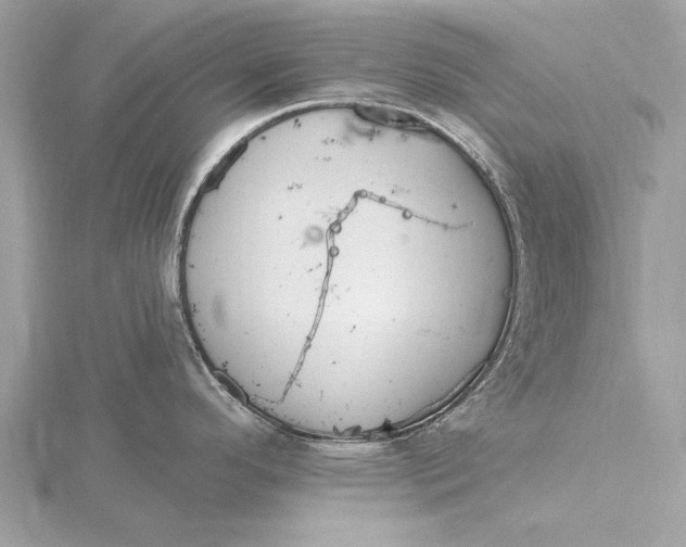 X0000115791296200912041505