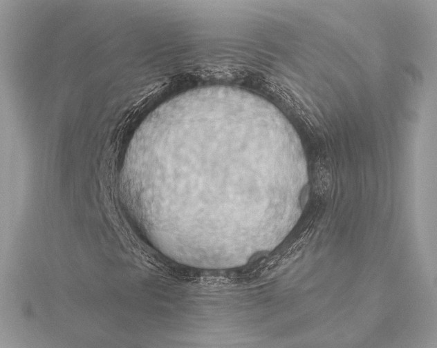 X0000115791297200912041504