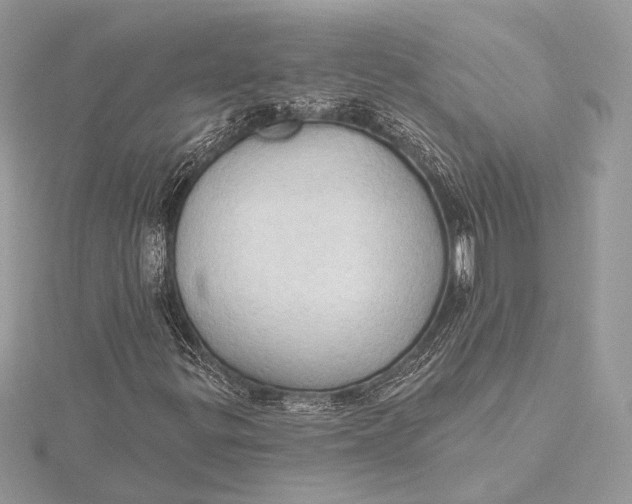 X0000115791299200912041504