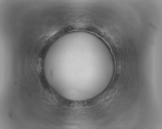 X0000115791301200912041504