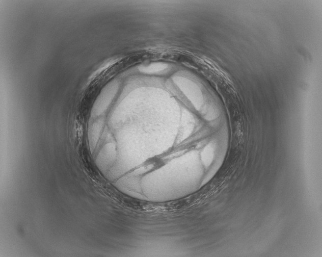 X0000115791302200912041504