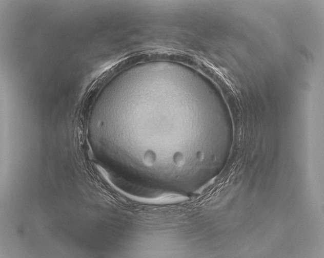 X0000115791303200912041504