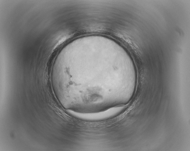 X0000115791306200912041504