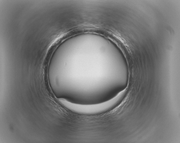 X0000115791309200912041504