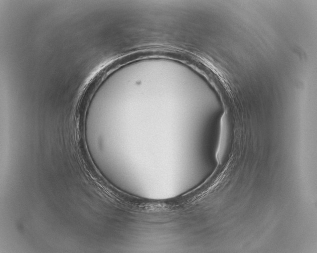 X0000115791310200912041504