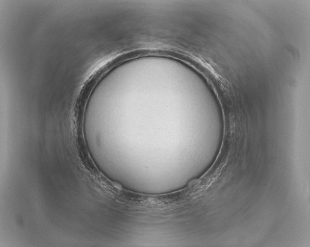 X0000115791311200912041504