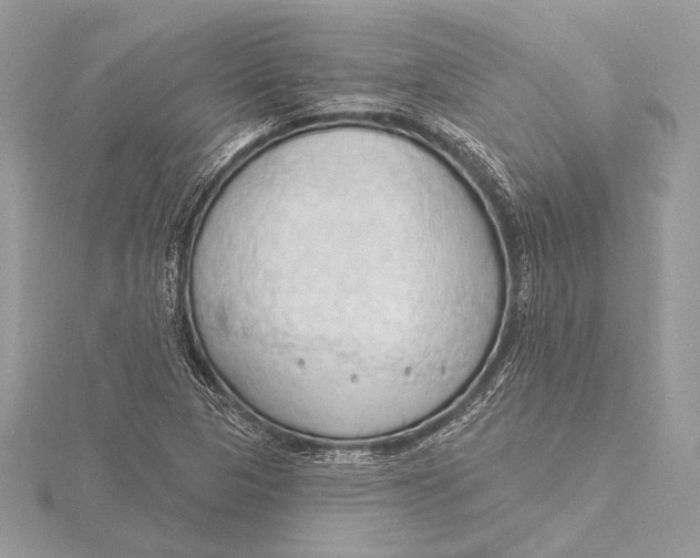 X0000115791313200912041504