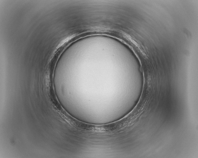 X0000115791315200912041504