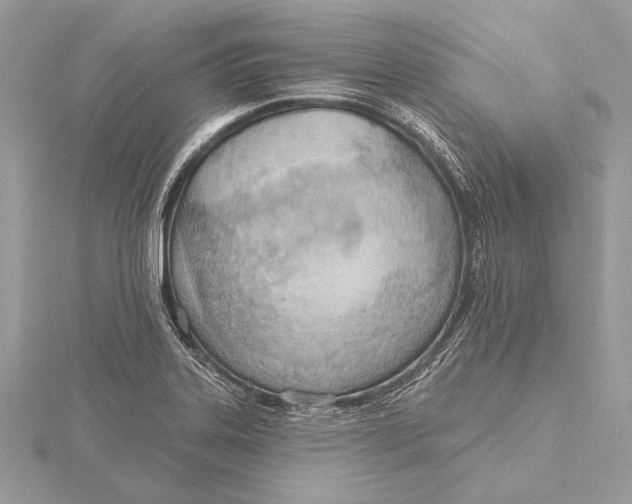 X0000115791323200912041504