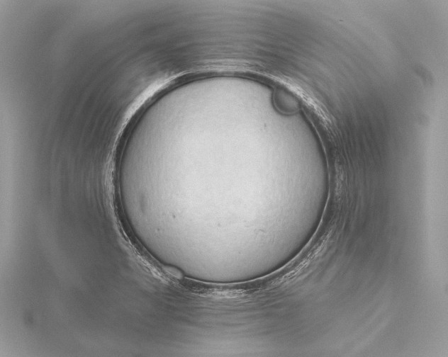 X0000115791325200912041504