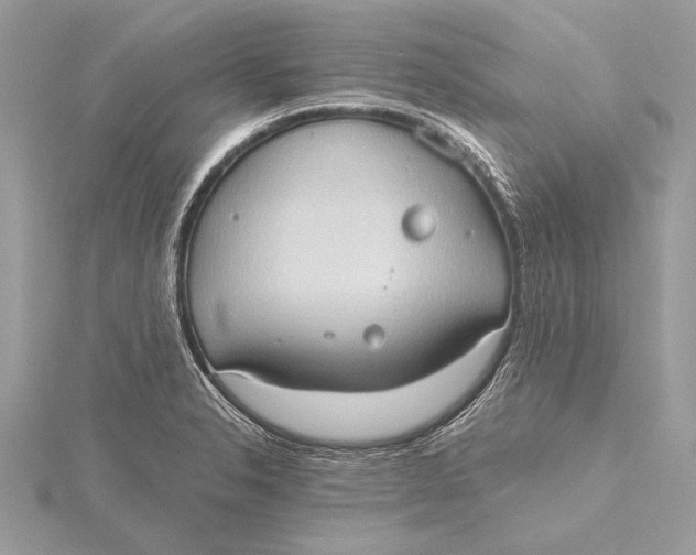 X0000115791326200912041504