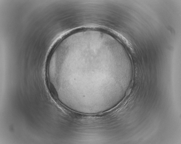 X0000115791327200912041504