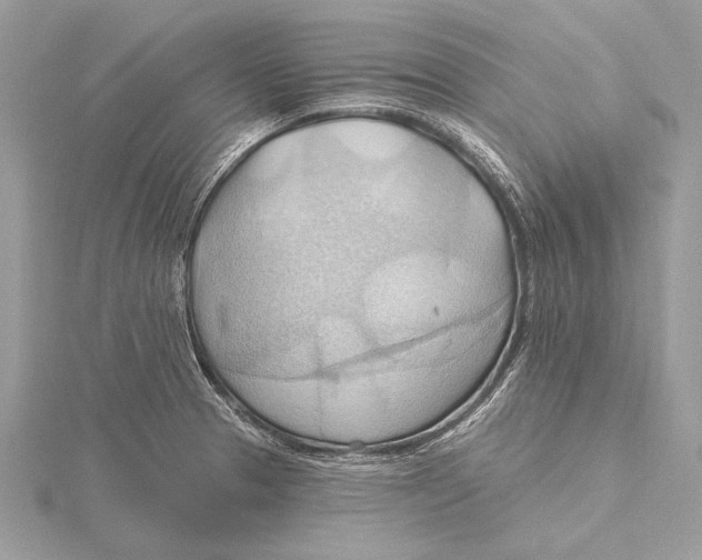 X0000115791329200912041504