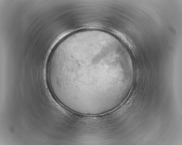 X0000115791331200912041504