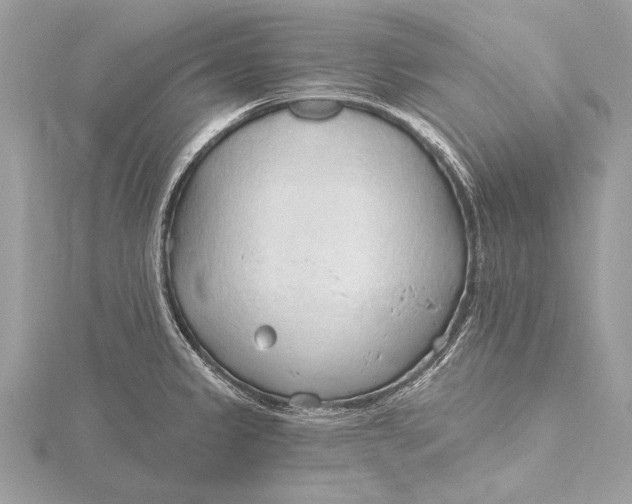 X0000115791333200912041504