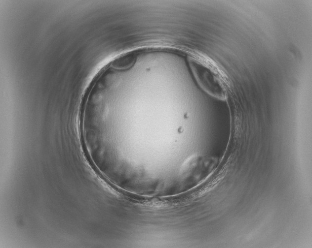 X0000115791334200912041504