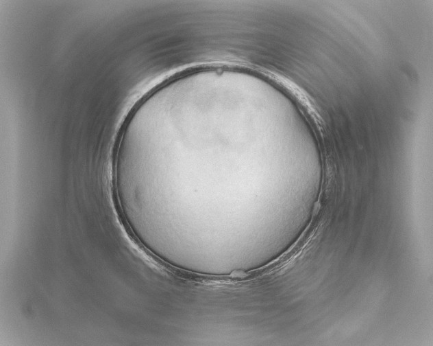 X0000115791335200912041504