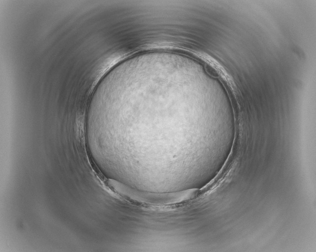 X0000115791337200912041504