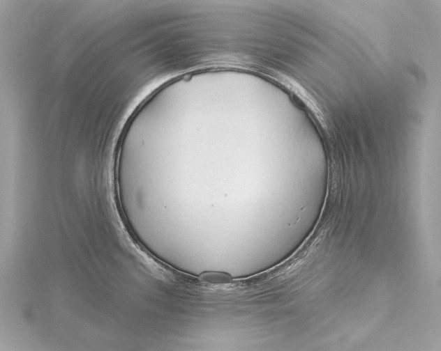 X0000115791339200912041505