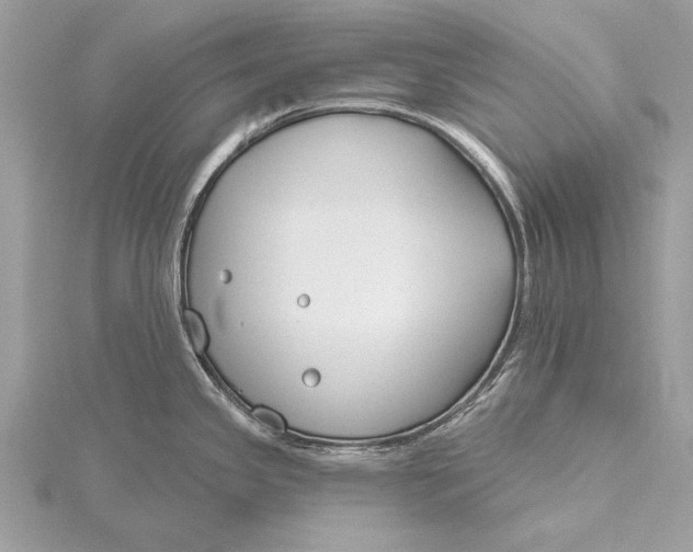 X0000115791341200912041505