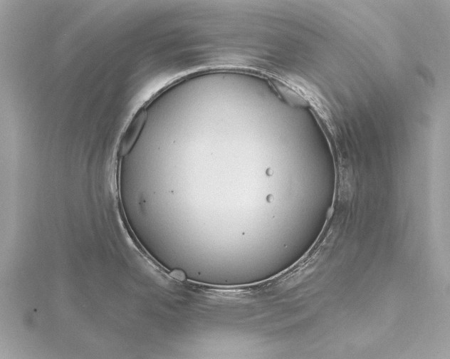 X0000115791342200912041505