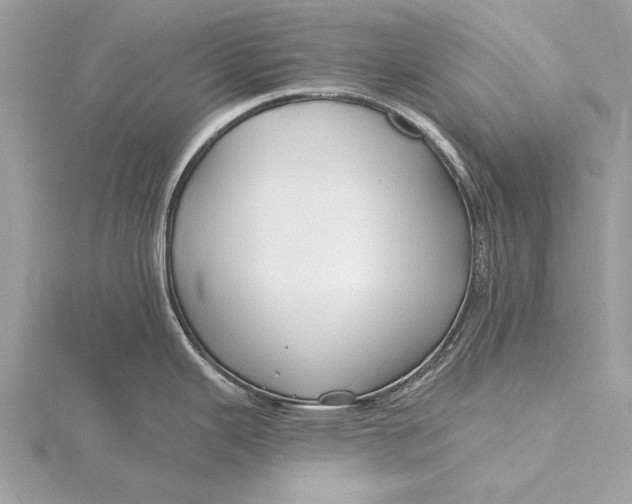 X0000115791343200912041505