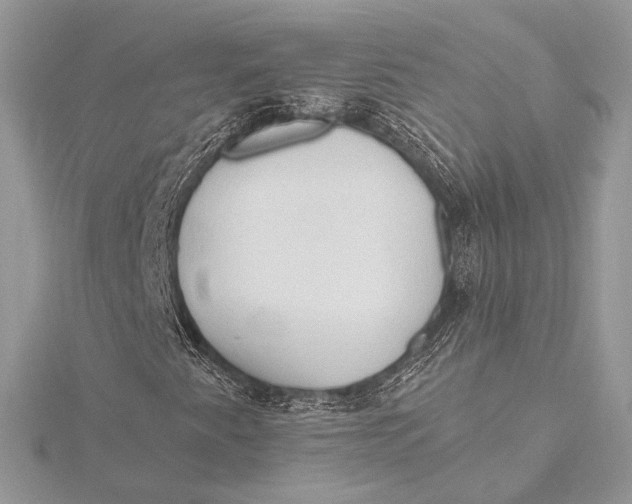 X0000115791345200912041504