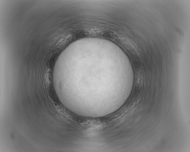 X0000115791346200912041504