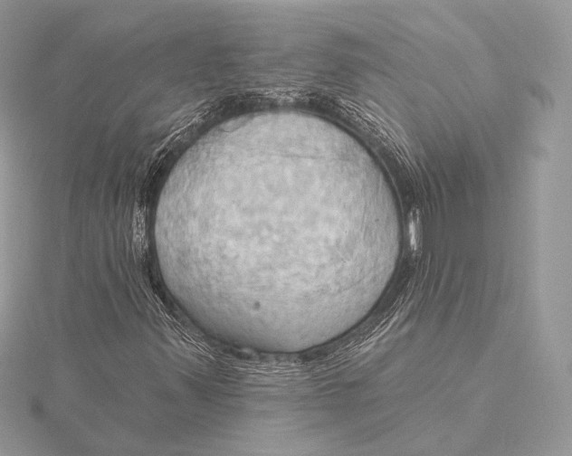 X0000115791347200912041504