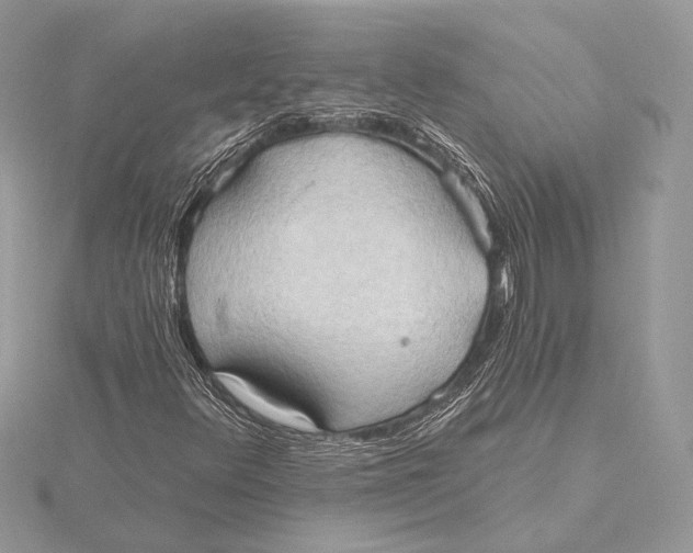 X0000115791348200912041504