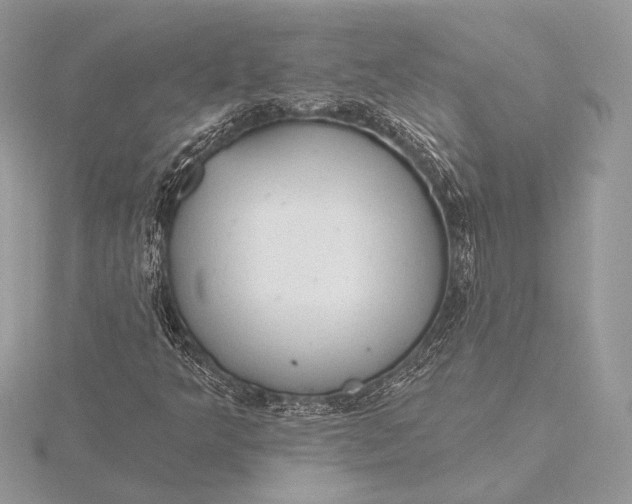 X0000115791349200912041504