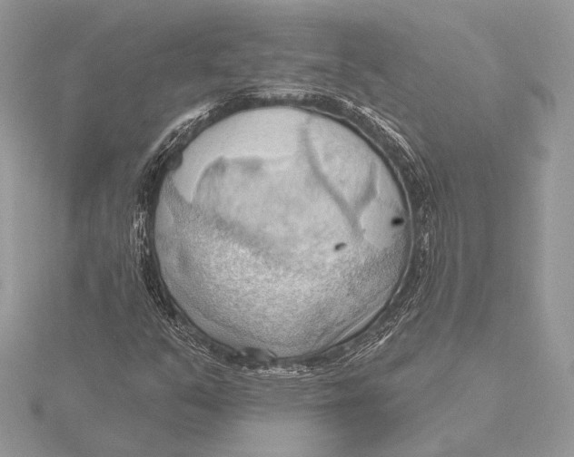 X0000115791351200912041504