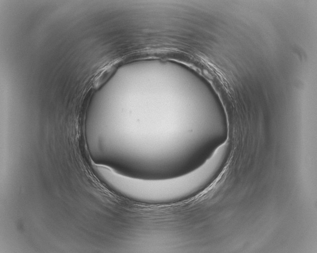 X0000115791353200912041504