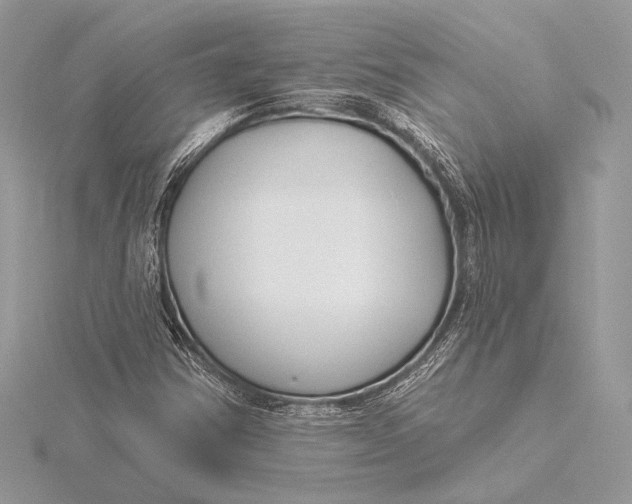 X0000115791354200912041504