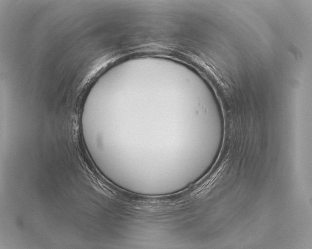 X0000115791355200912041504