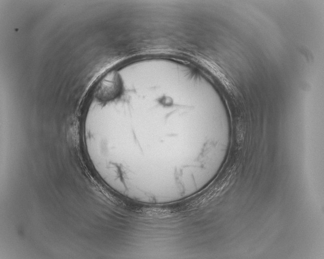 X0000115791356200912041504