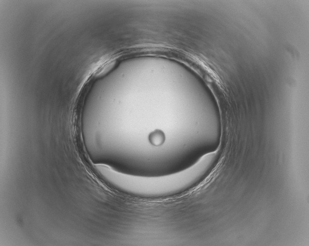 X0000115791357200912041504