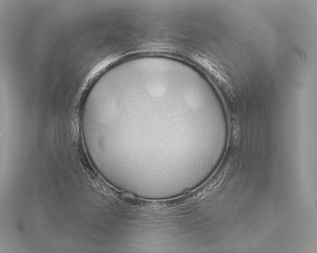 X0000115791358200912041504