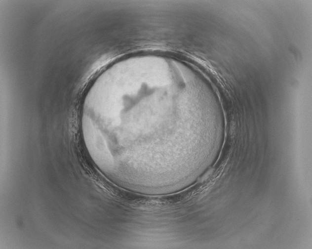 X0000115791359200912041504