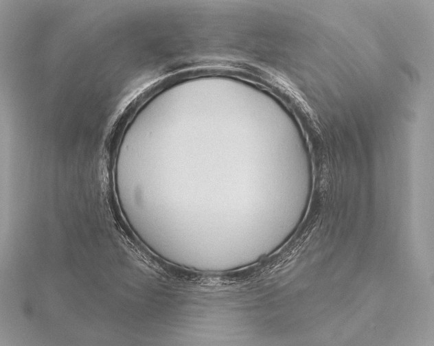 X0000115791360200912041504