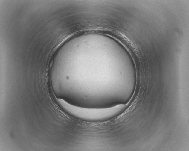 X0000115791361200912041504