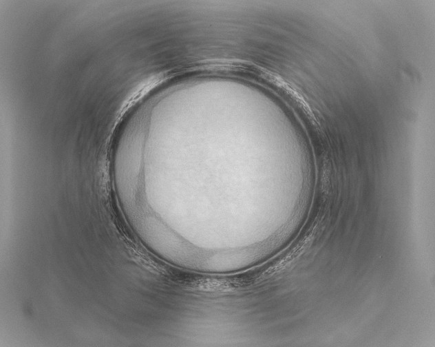 X0000115791362200912041504