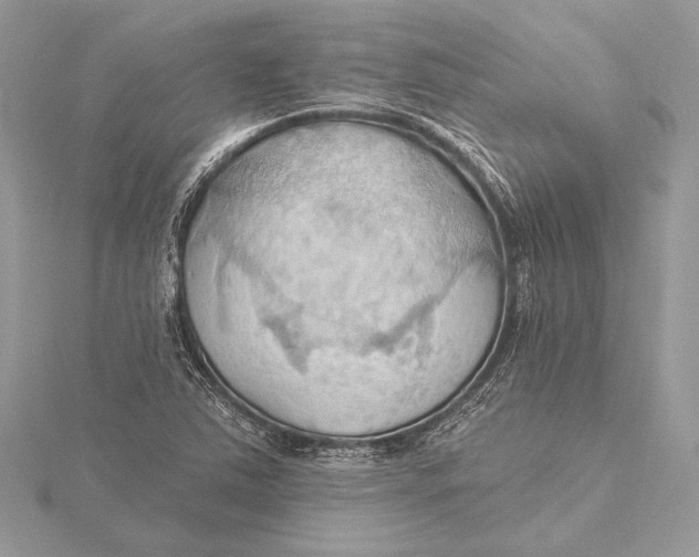 X0000115791363200912041504