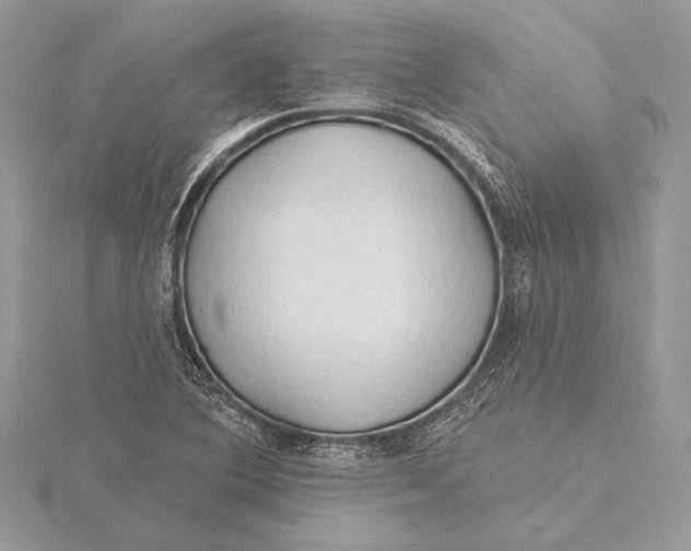 X0000115791364200912041504