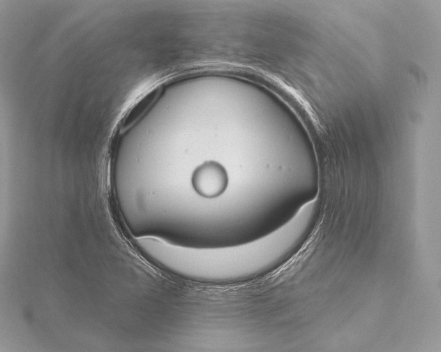 X0000115791365200912041504