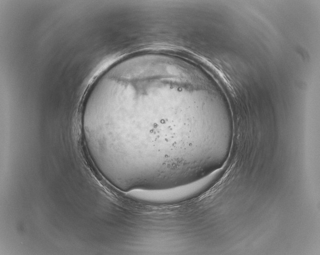 X0000115791367200912041504