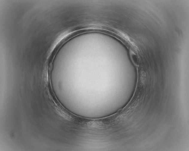 X0000115791368200912041504